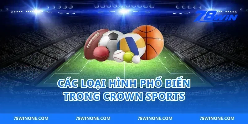Các Loại Hình Phổ Biến Trong crown sports